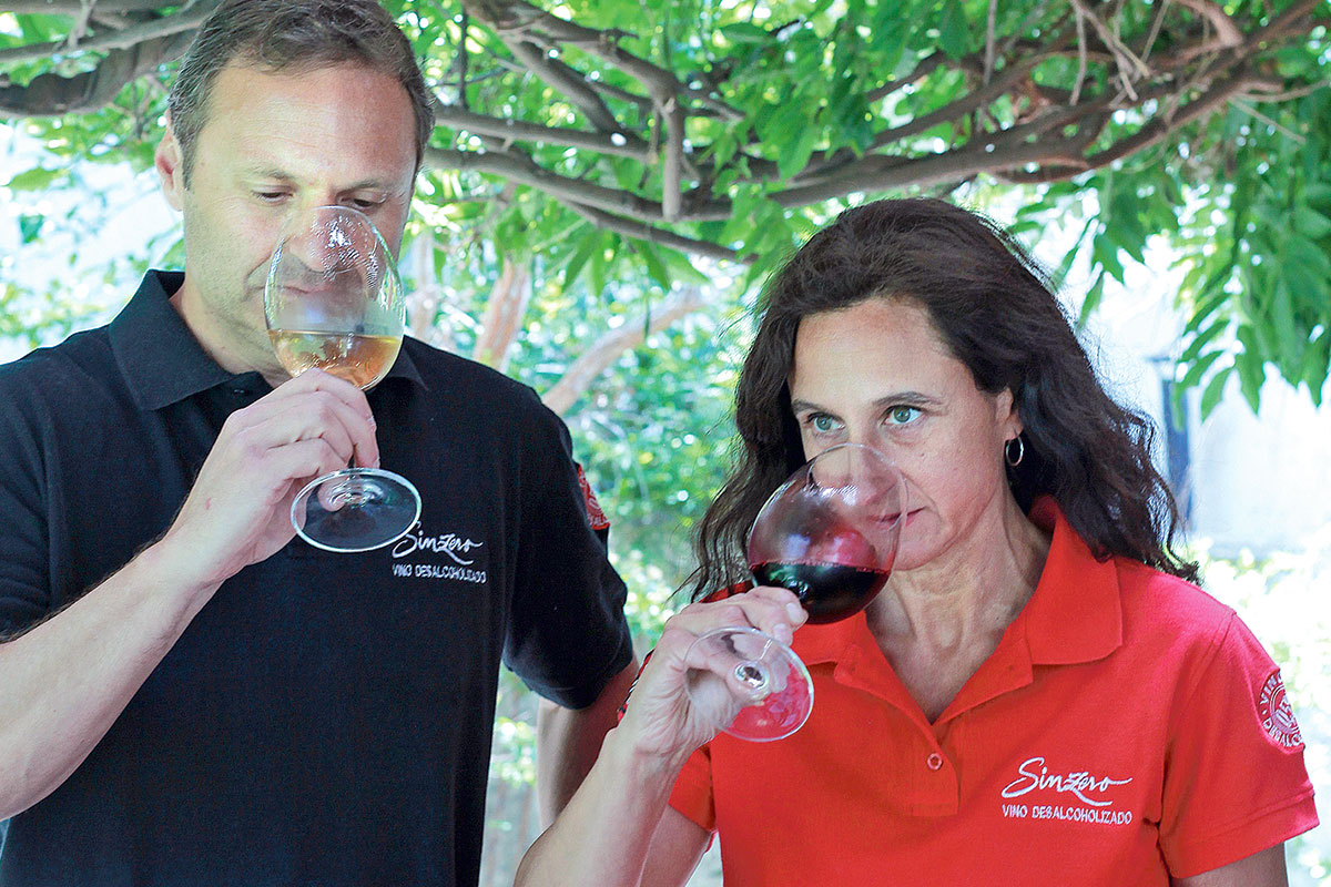 <p>Sinzero, la primera compañía chilena que vende vino sin alcohol en Amazon </p>