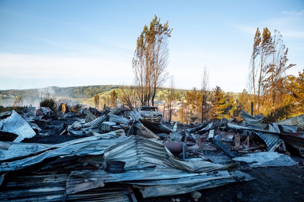 Parte de la destrucción que dejó el incendio forestal. Foto A1.