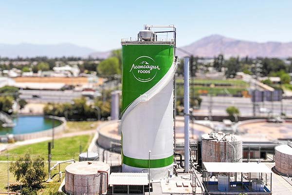 Aconcagua Foods abre 2.000 empleos para temporada de producción de duraznos 2022