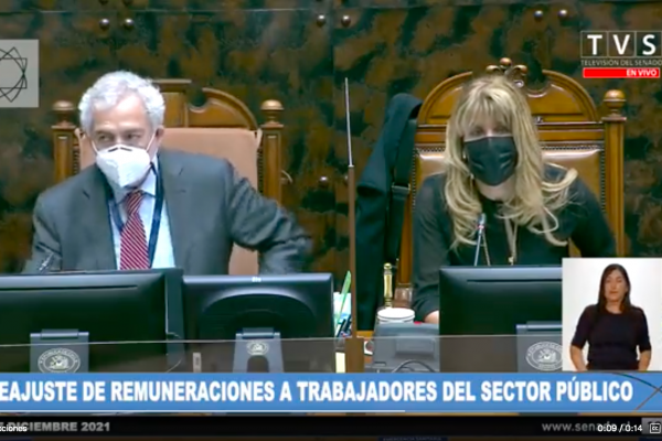 Senado despacha reajuste del sector público y propuesta vuelve a la Cámara de Diputados