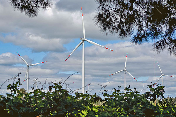 Transición energética: Gobierno sube la apuesta envía proyectos que incentivan las renovables y el hidrógeno verde