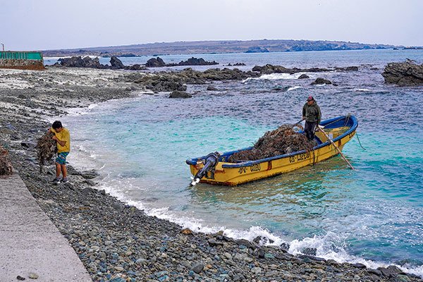 Consejo de Ministros aprueba creación de área marina protegida en La Higuera, la zona donde se ubicaría el proyecto Dominga