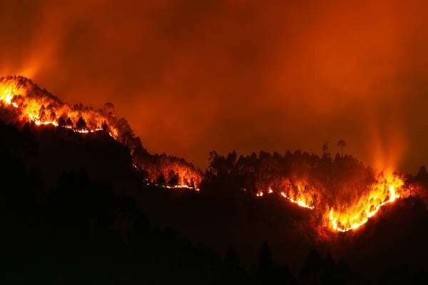 Onemi solicita evacuar sectores de Quillón, Angol y Los Sauces por incendios forestales