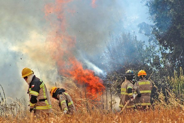Incendios activos en zona centro y sur de Chile ya arrasan 15 mil hectáreas