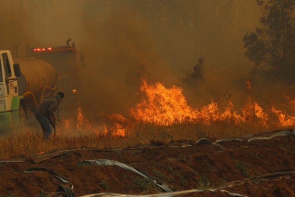 Corma denuncia intencionalidad de incendios que han afectado más de 18 mil hectáreas