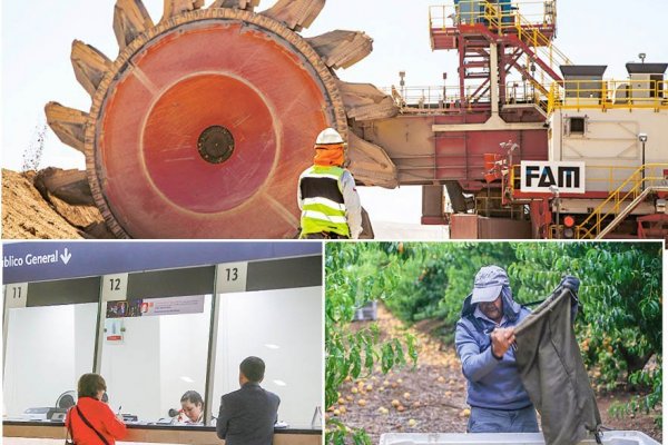 <p>Buscador permite conocer empresas creadas en últimos 10 años</p>