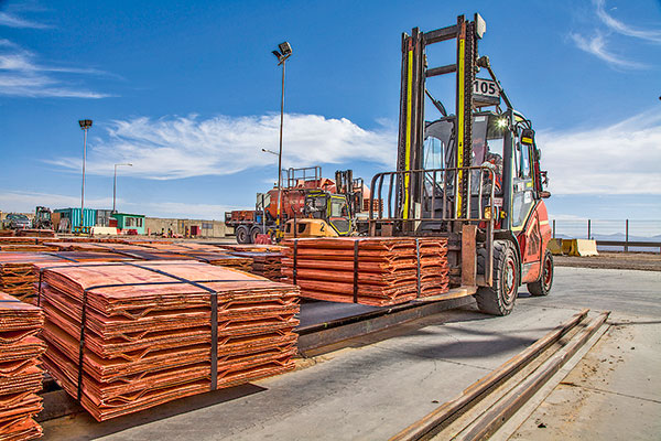 Los commodities que prometen liderar las ganancias en 2022