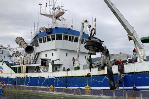 <p>Sernapesca informa que 9 de 13 centros de cultivo de salmón en Aysén activaron planes de contingencia por bloom de algas</p>