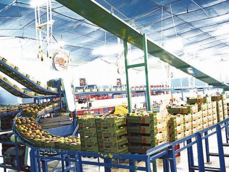Agromar Industrial adquirió la planta de Arca Continental Lindley en Perú
