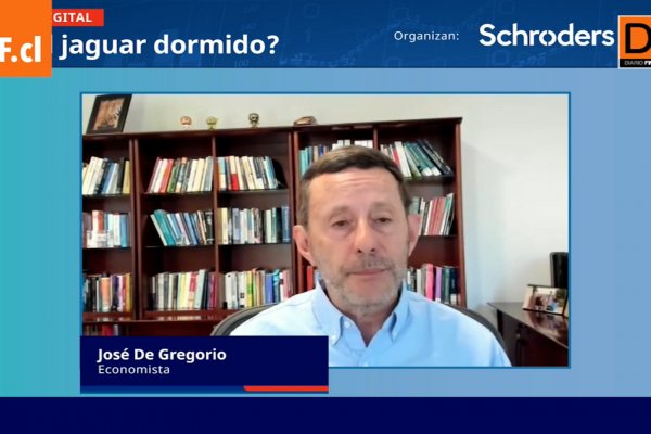 <p>DF Live | Encuentro Digital "¿Chile: El jaguar dormido? Cómo leer los cambios y desafíos del mercado ante un escenario de incertidumbre"</p>