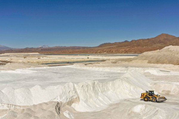 Balde de agua fría para el Gobierno: Corte de Apelaciones de Copiapó suspende proceso de licitación del litio