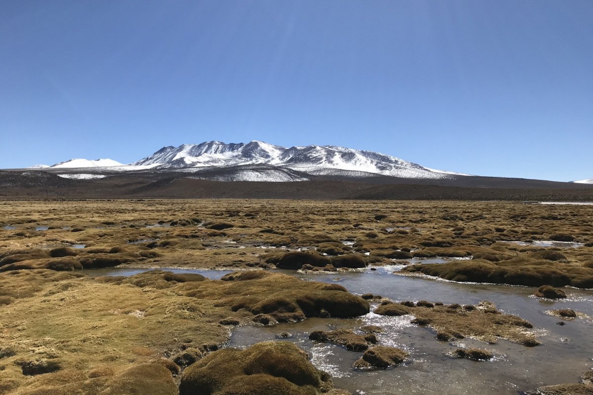 <p>Inmobiliarias y humedales urbanos: SEA especifica casos para someter las obras a evaluación ambiental</p>