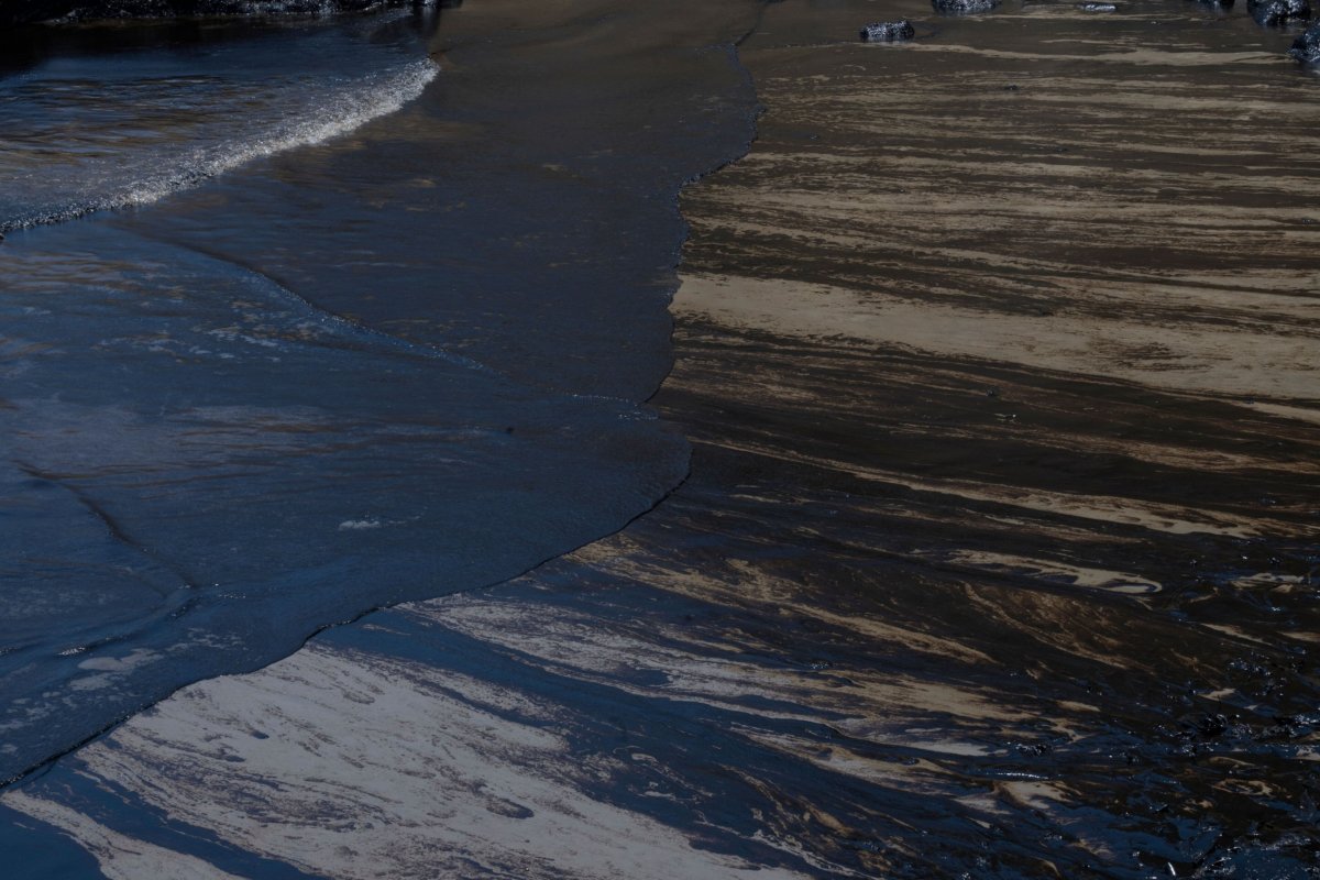 <p>Foto: Bloomberg</p>