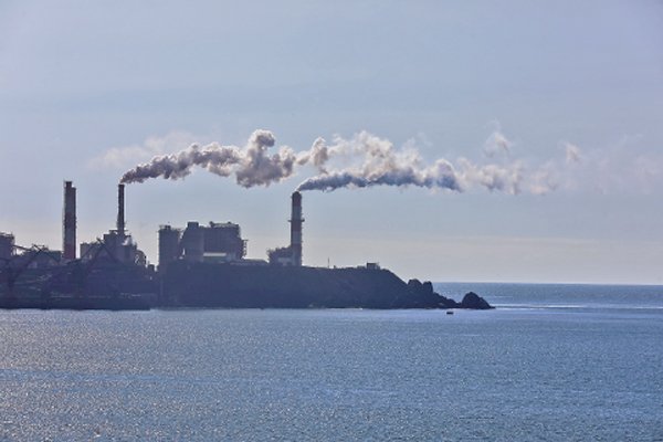 <p>Las apuestas de las empresas de la región para lograr la carbono neutralidad</p>