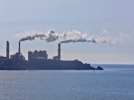 Las apuestas de las empresas de la región para lograr la carbono neutralidad