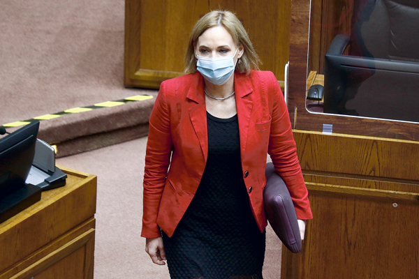 La senadora Carolina Goic impulsa el tema en el Senado. Foto: Agencia Uno