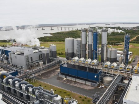 Empresa finlandesa retrasa inicio de planta de producción en Uruguay