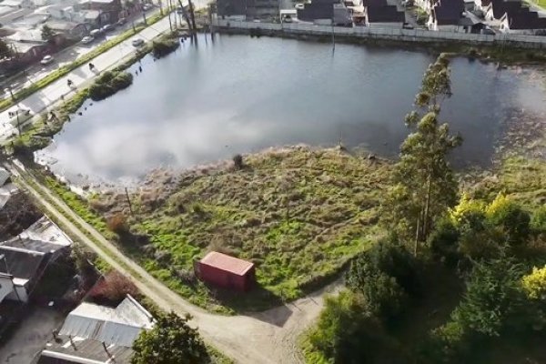 Municipalidad de Concepción suspende proyectos y entrega de permisos ad portas de declaración de Humedal Pichimapu