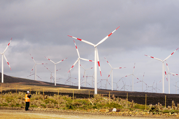 ¿Cómo realiza el mercado el “due diligence verde” a las inversiones en ESG?