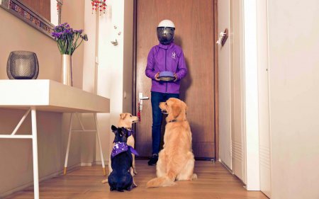 Colombiana Laika apuesta por la expansión a Perú y Argentina en el segundo semestre de 2022