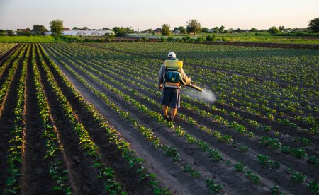 Ausentismo laboral y sequía suben la presión en la agroindustria de Latinoamérica