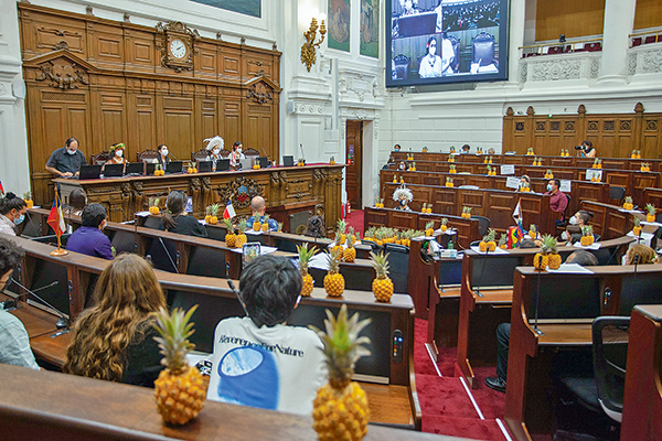 El viernes el pleno analizará en particular los articulos aprobados de Formas de Estado. Foto: Agencia Uno