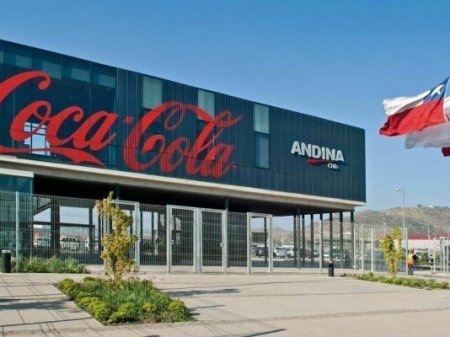 En su casa: Coca-Cola Andina lanzará un canal de ventas online en Río de Janeiro