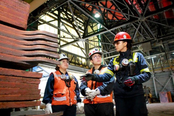 Gigante estatal de cobre registra un fuerte aumento de los aportes económicos a Chile
