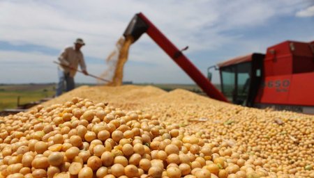 Crisis Rusia-Ucrania: principales energéticas de Latinoamérica caen, pero agroexportadoras suben en bolsa