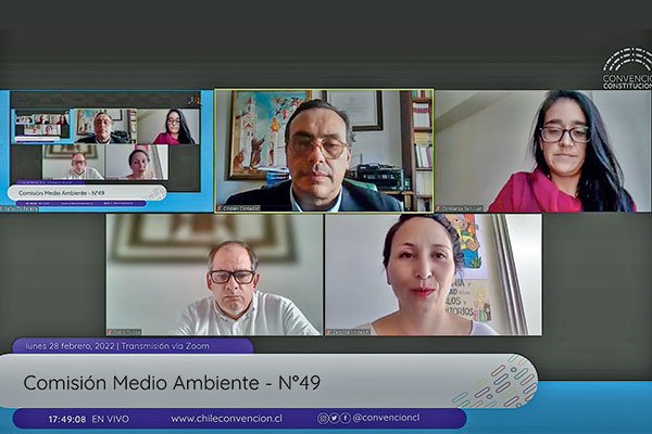 Convención: este jueves y viernes se votará en el pleno primer bloque de normas de la Comisión de Medio Ambiente