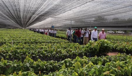 Nutresa advierte que se verá presionada por precios del trigo a raíz de guerra entre Rusia y Ucrania