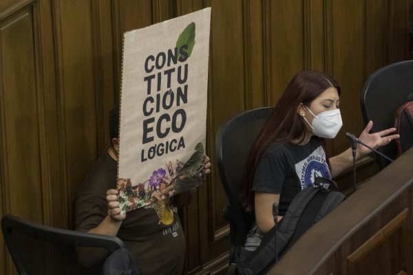 Coordinadora de comisión de Medio Ambiente de la Convención: "Se ven los temas ecológicos, pero también el modelo económico"