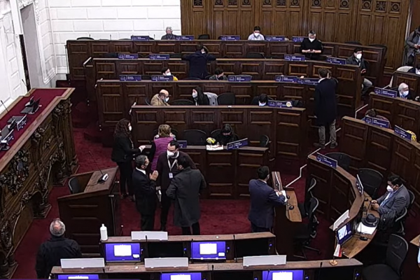 Convención: Pleno aprobó en general sólo seis artículos del primer bloque de normas de la Comisión de Medio Ambiente