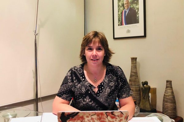 Loreto Seguel: “Crear empresas públicas, con recursos que compiten con otras prioridades, sería una mala noticia”