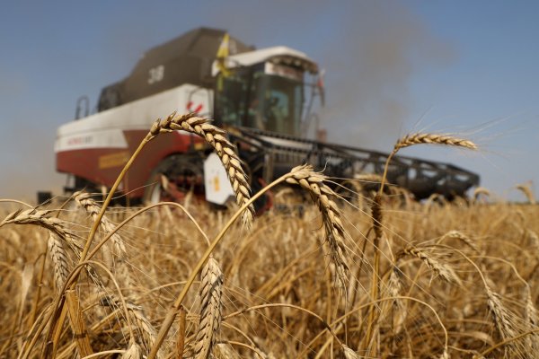 Los precios de los alimentos, que ya están caros y marcaron un récord, seguirán subiendo debido a la guerra