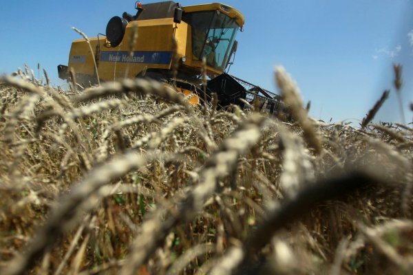 Impacto del conflicto entre Rusia y Ucrania pone al mundo en alerta por posible escasez de alimentos