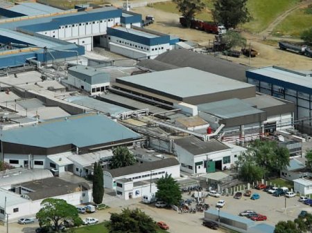 Una de las mayores productoras de carne de la región reporta mejor resultado anual de su historia