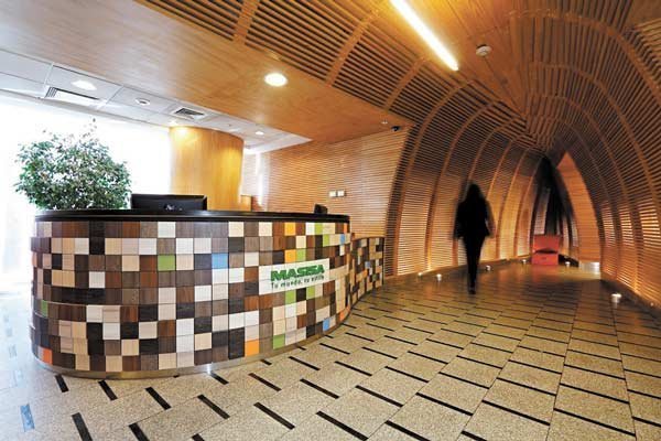 Pese a caída en ingresos, Masisa revierte millonarias pérdidas al cierre de 2021