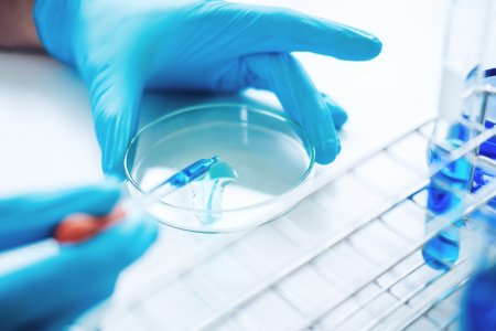 Banco de genes colombiano brinda protección contra el cambio climático