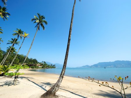 Despegar se mete de lleno a la gestión de propiedades vacacionales y compra plataforma en Brasil