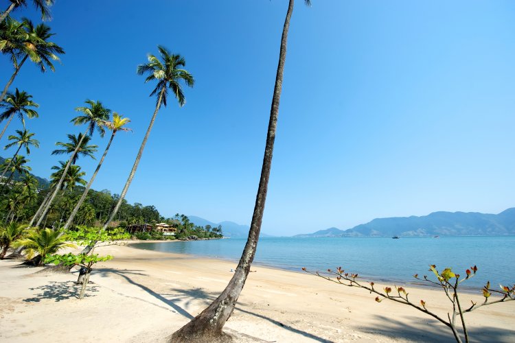 <p>Despegar se mete de lleno a la gestión de propiedades vacacionales y compra plataforma en Brasil</p>