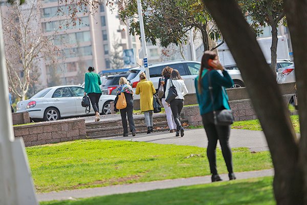 Las empresas que se unieron para dar la pelea y reducir la brecha de género