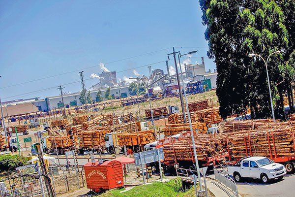 <p>Indicador CEEN-UDD: Retrocede la confianza empresarial en La Araucanía durante febrero</p>