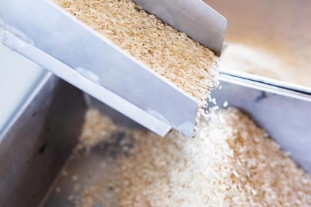 Suiza Glencore se desprende de su negocio agrícola en Argentina y Uruguay