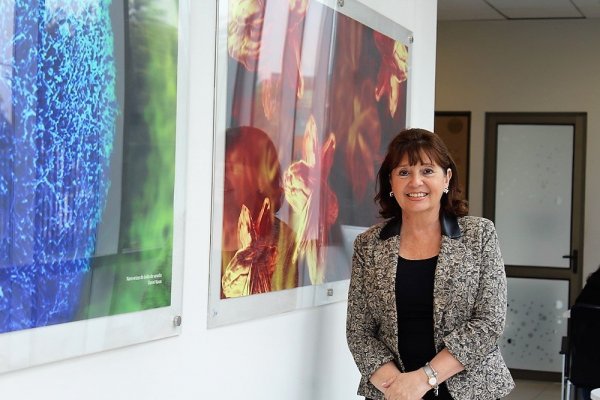 Dora Altbir obtuvo el Premio Nacional de Ciencias Exactas en 2019.