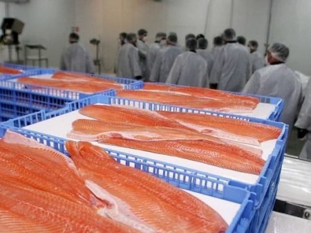 Salmonera chilena incorpora a la norteamericana Cargill como nuevo socio