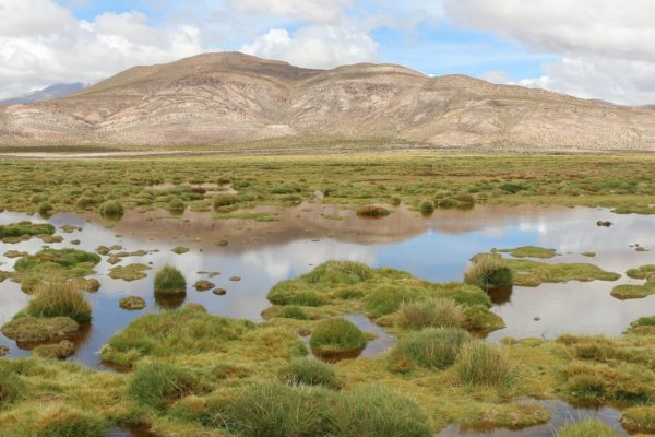 El documento "Constitucionalismo ambiental para América Latina. Recomendaciones del Sistema de Naciones Unidas para Chile", fue publicado ayer.