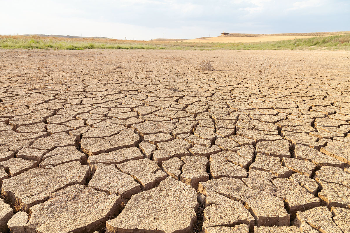 <p>Desaladoras, aguas grises y riego tecnificado: las soluciones para enfrentar la sequía extrema</p>