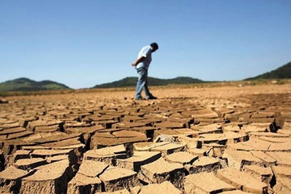 Gobierno extiende por tres meses la emergencia agrícola en 231 municipios