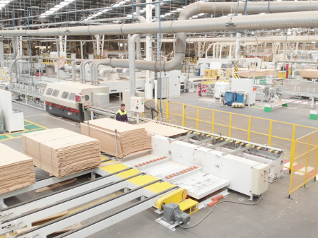 El camino de la maderera Masisa: seguir ganando terreno en la costa Pacífico de América y entregar más dividendos